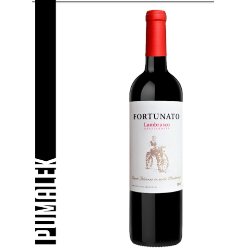Fortunato 2024